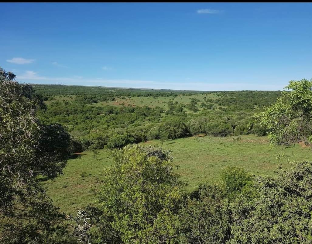 Kareekloof Game Farm Farm stay