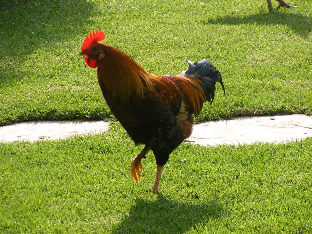 Farm stay Kareekloof Game Farm