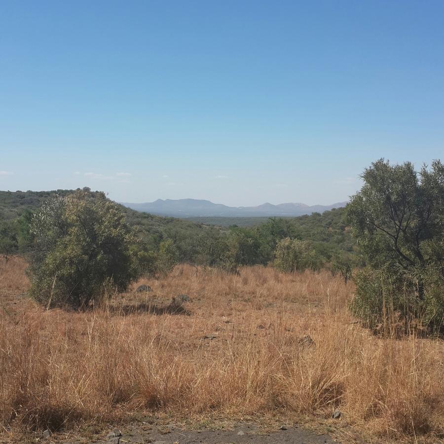 Kareekloof Game Farm